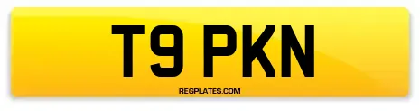 T9 PKN