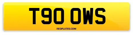 T90 OWS
