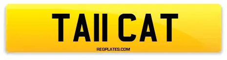 TA11 CAT