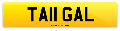 TA11 GAL