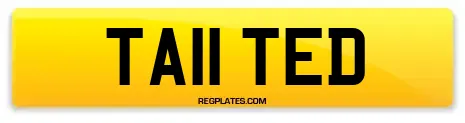 TA11 TED