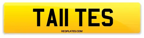TA11 TES