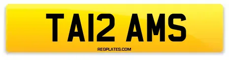 TA12 AMS