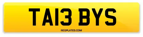 TA13 BYS