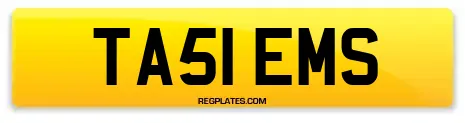 TA51 EMS