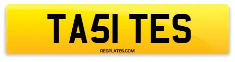 TA51 TES