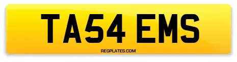 TA54 EMS