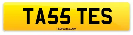 TA55 TES