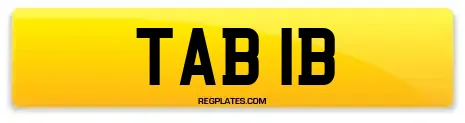 TAB 1B