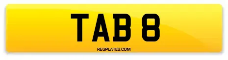 TAB 8