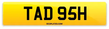 TAD 95H