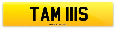 TAM 111S