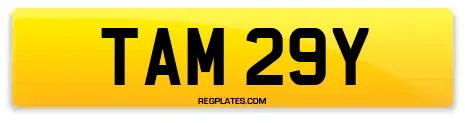 TAM 29Y