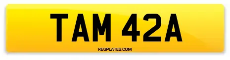 TAM 42A