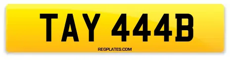 TAY 444B