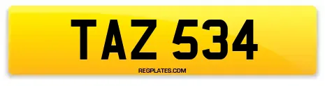 TAZ 534