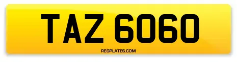TAZ 6060