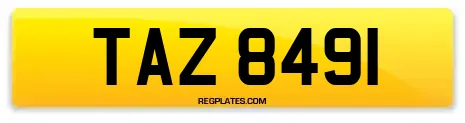 TAZ 8491