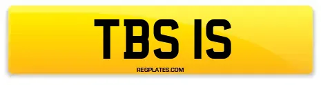 TBS 1S