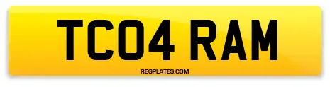 TC04 RAM