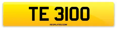 TE 3100