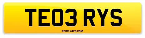TE03 RYS