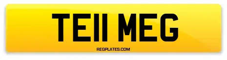 TE11 MEG