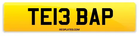 TE13 BAP