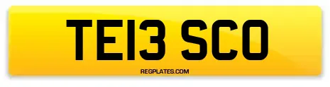 TE13 SCO