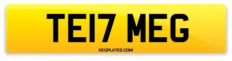 TE17 MEG