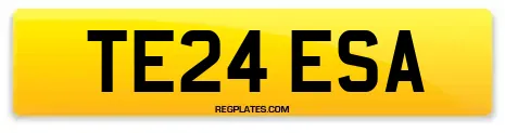 TE24 ESA