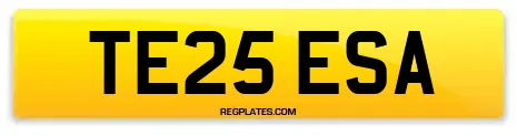 TE25 ESA
