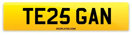 TE25 GAN