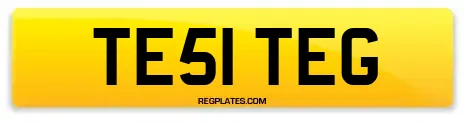 TE51 TEG