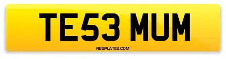 TE53 MUM