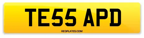 TE55 APD