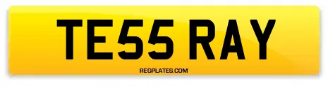 TE55 RAY