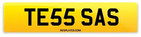 TE55 SAS
