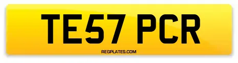 TE57 PCR