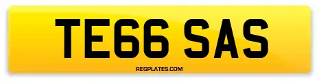 TE66 SAS