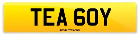 TEA 60Y