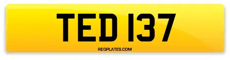 TED 137