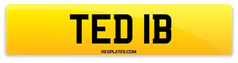 TED 1B