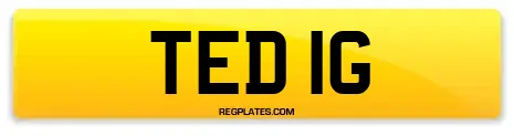 TED 1G