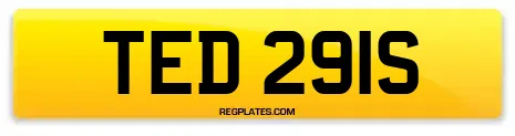 TED 291S