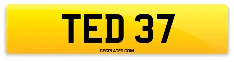 TED 37