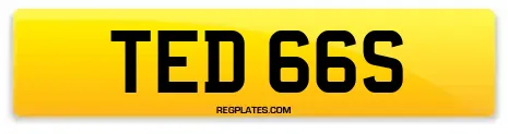 TED 66S