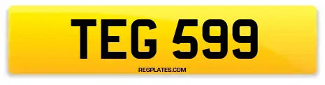 TEG 599