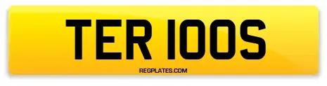 TER 100S