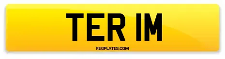 TER 1M